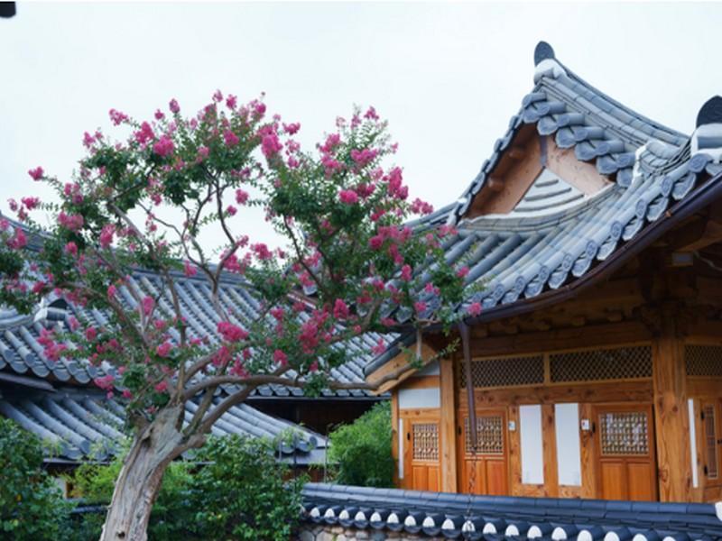 Dajeong Guesthouse Jeonju Buitenkant foto